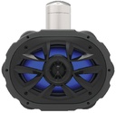 Mrwt69Rgb Speaker-Waketower 6X9 550W | Boss Audio Systems